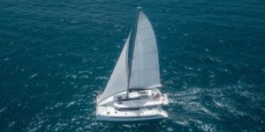 Leopard 50 Bild 6