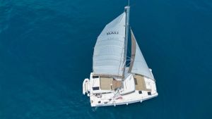 Catana Bali Catspace Bild 10